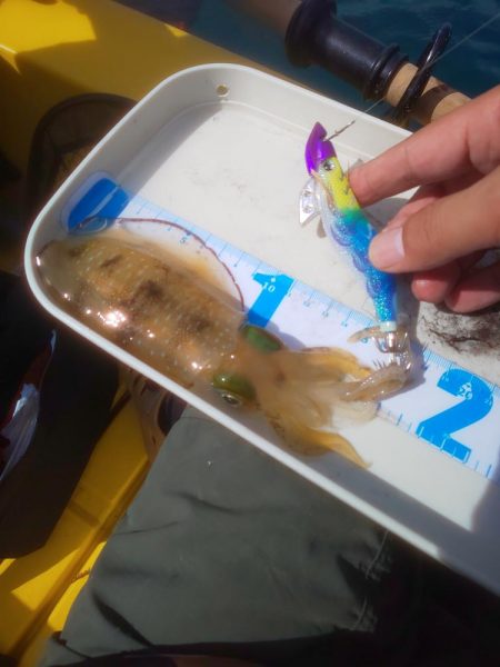 溜まり場見つけられず