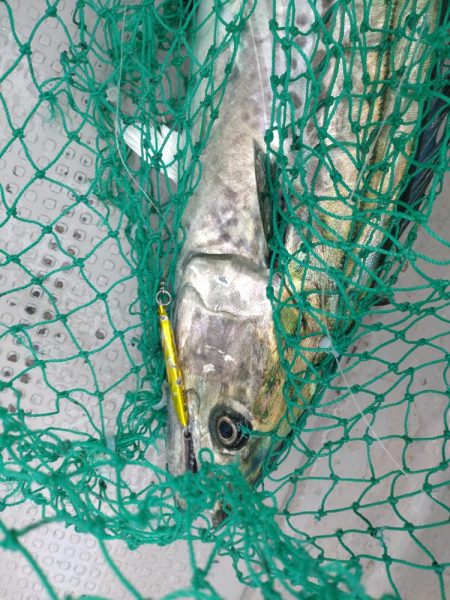 岩国沖の開幕?!