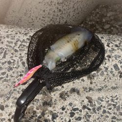 風裏あるかな!?