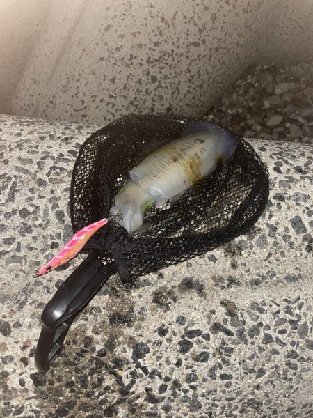 風裏あるかな!?