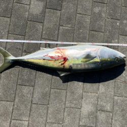 大阪南港ブリゲーム開幕