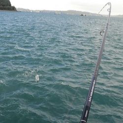 台風明けの夕まずめ