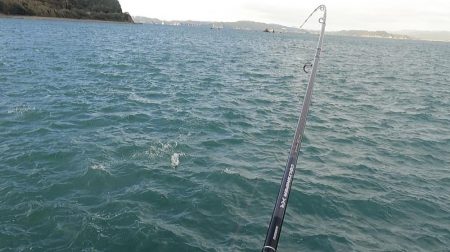 台風明けの夕まずめ