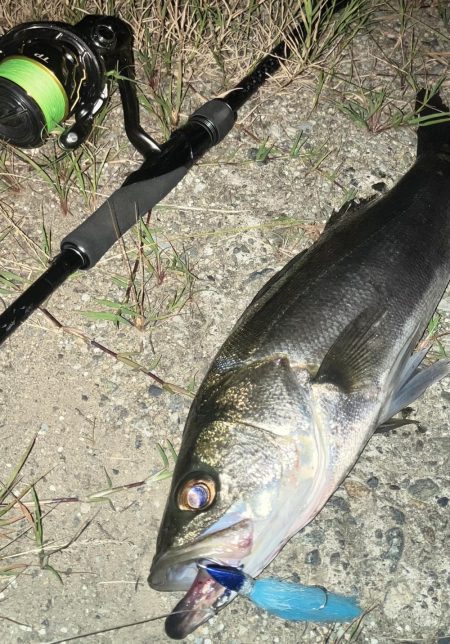 ががっときました。