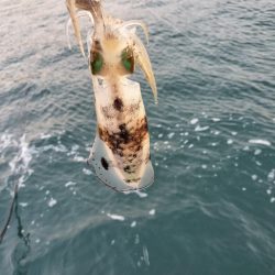 新子はいっぱいいるけど