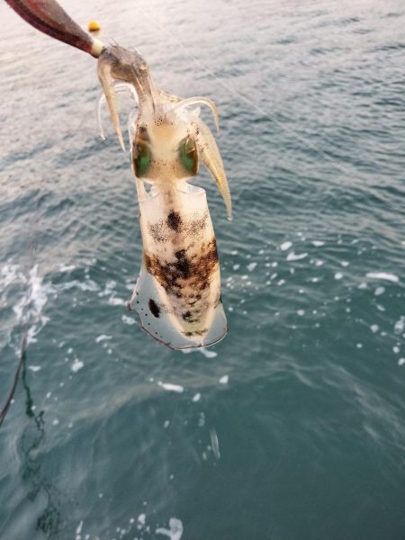 新子はいっぱいいるけど