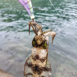 秋にしてはいいんじゃない？