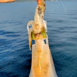 3ヶ月ぶり釣行。