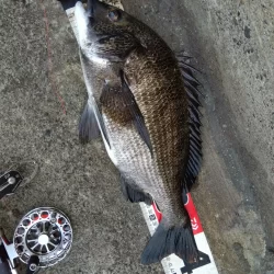 朝練してきました