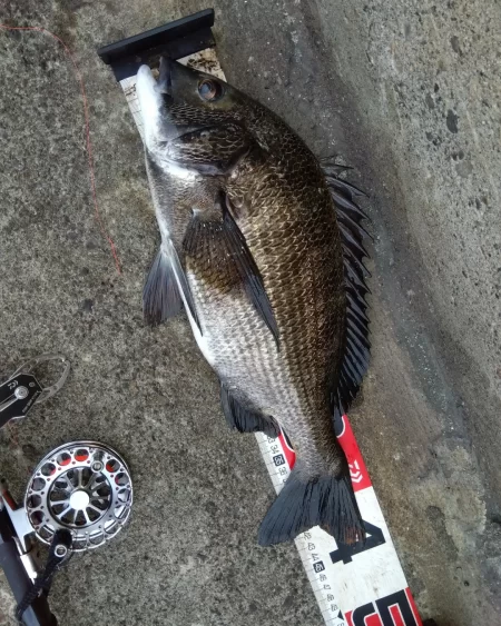 朝練してきました