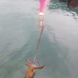 おでこ ペンペン