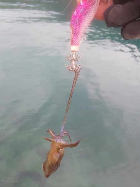 おでこ ペンペン