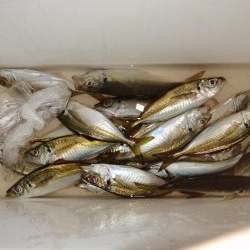 少しずつ大きく