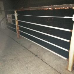 シーサイドコスモのタチウオ調査