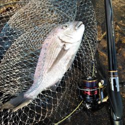 フカセ‥最高ですネ・・