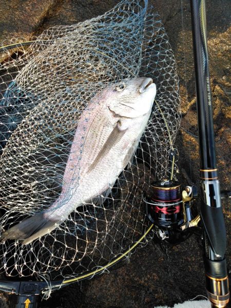 フカセ‥最高ですネ・・