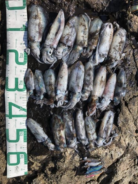 2022 佐渡ヶ島エギング 9回目