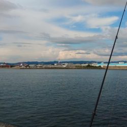 太刀魚いい感じです♪