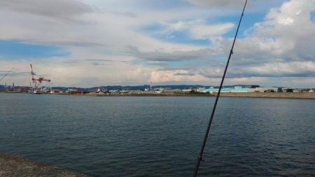 太刀魚いい感じです♪