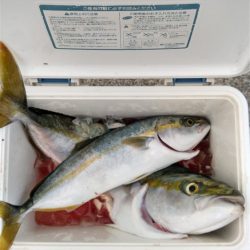 足場が････。