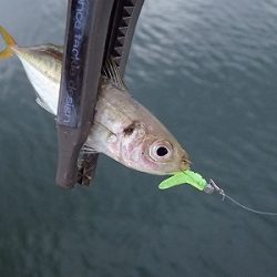 パターンにハマると連発でした！