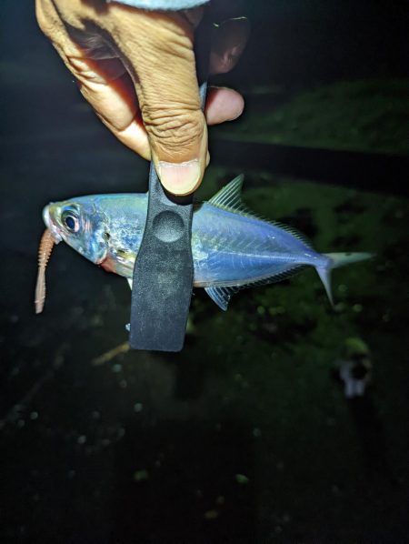 本命ゲットしましたが