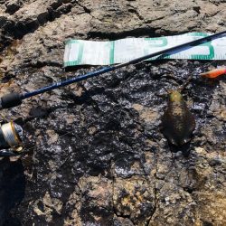 2022 佐渡ヶ島エギング 5回目