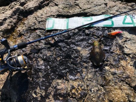 2022 佐渡ヶ島エギング 5回目