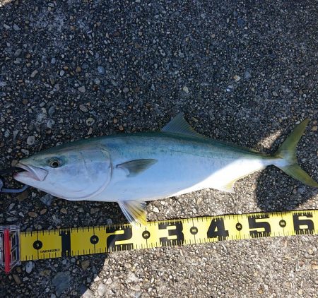 ハズレの日！？