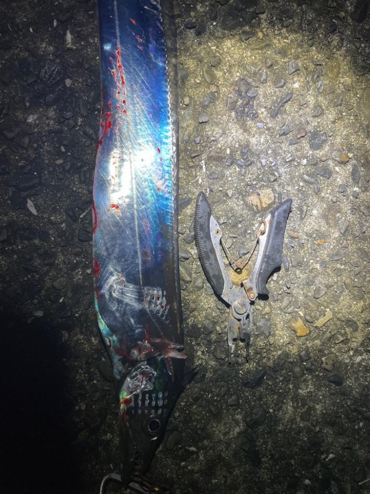 日が変わってすぐの釣り