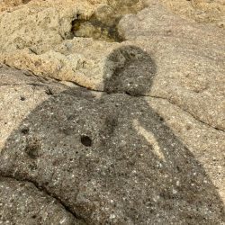 台風後エギング調査