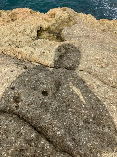 台風後エギング調査