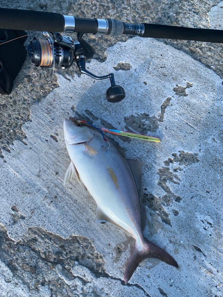 数日前はよかったらしいがなんとかのシオ