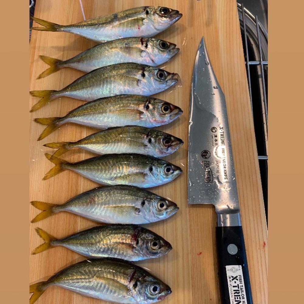 夜勤明けのサビキ釣り