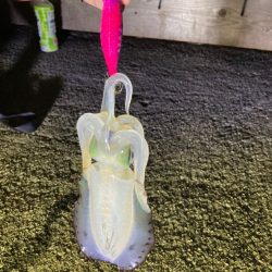 エギング２回目