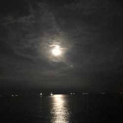 まだまだ暑いので要注意!