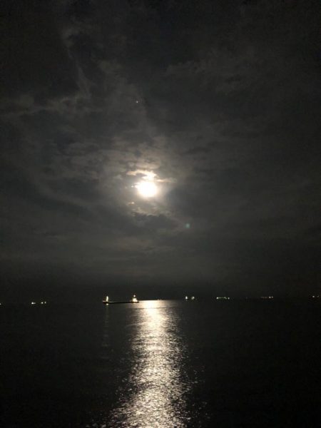 まだまだ暑いので要注意!