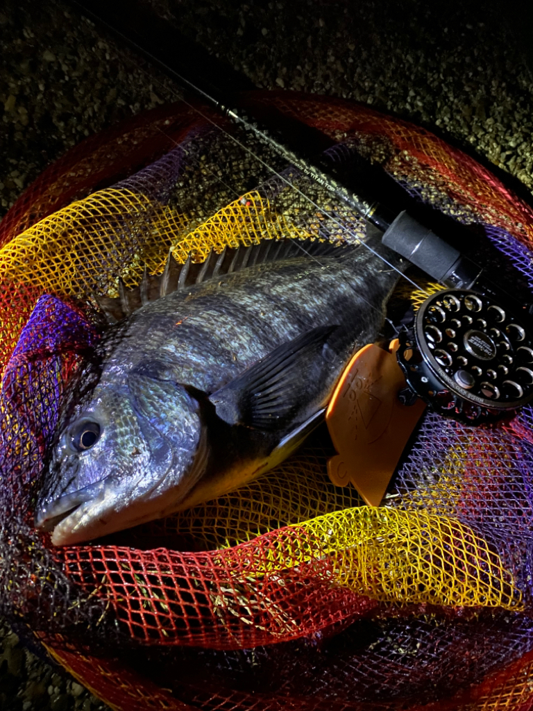 ヘチってきました