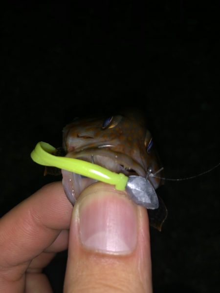 キワを攻めると…