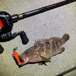 ベイトタックルデビュー戦！