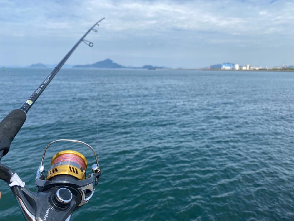 近所の堤防でダツ