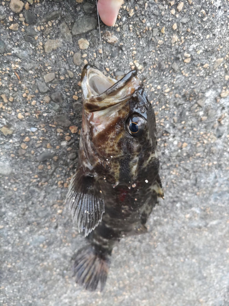 第三回雰囲気あります