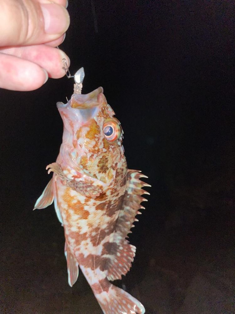 手軽なガシリング