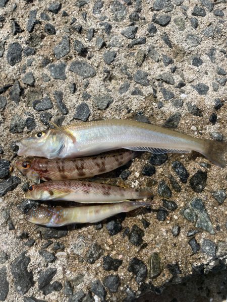 引き釣り出来なくて……