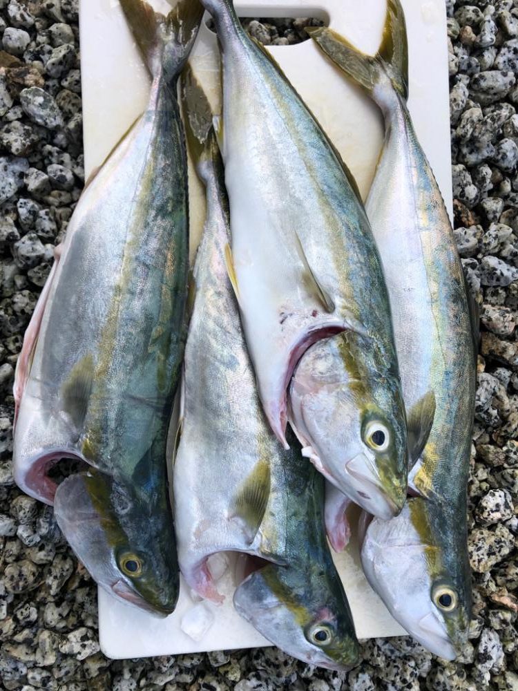 秋シーズン到来か