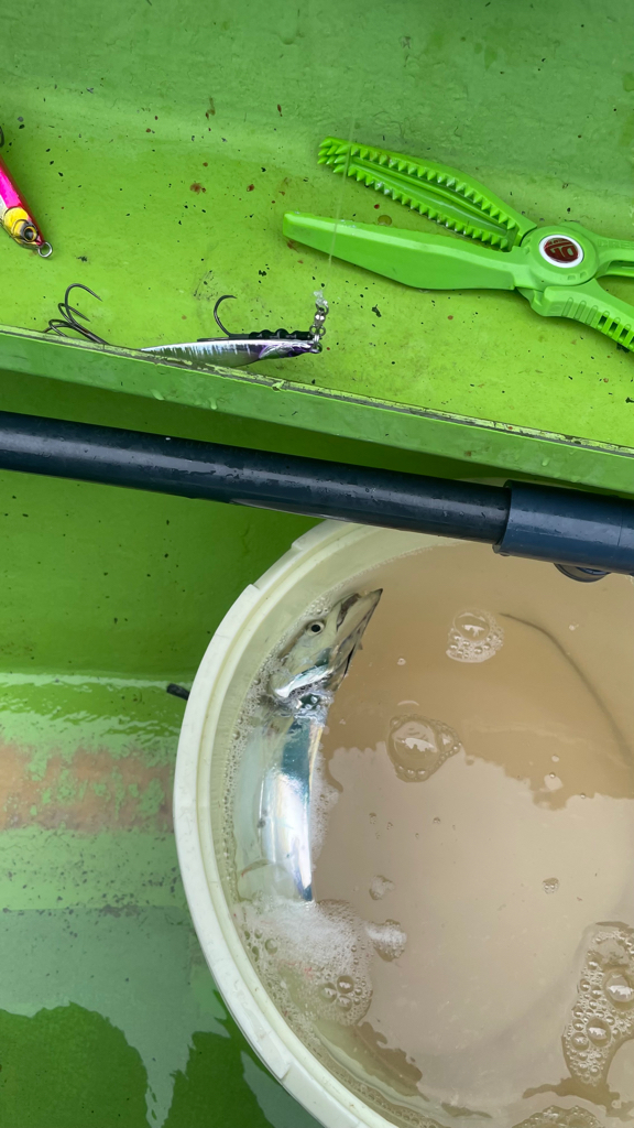 タチウオ（五目？）ジギング？？