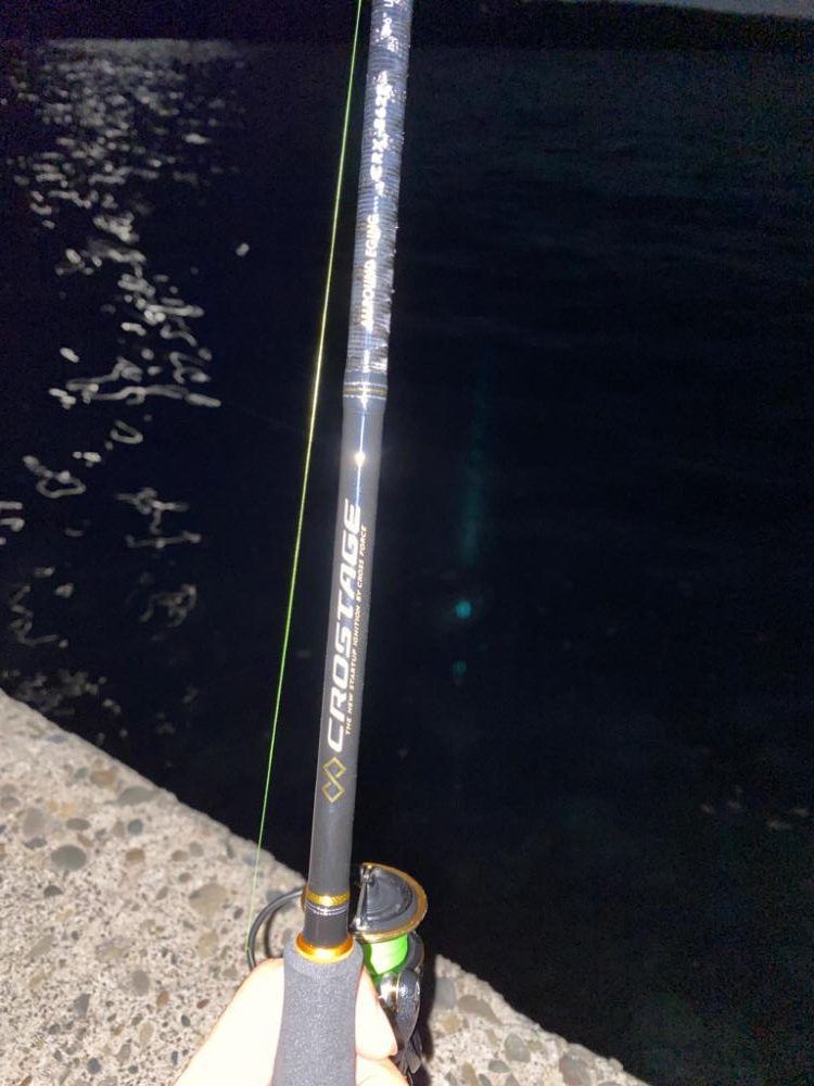 仕事帰りエギング