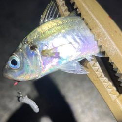 強風と表層直下