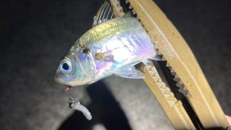 強風と表層直下