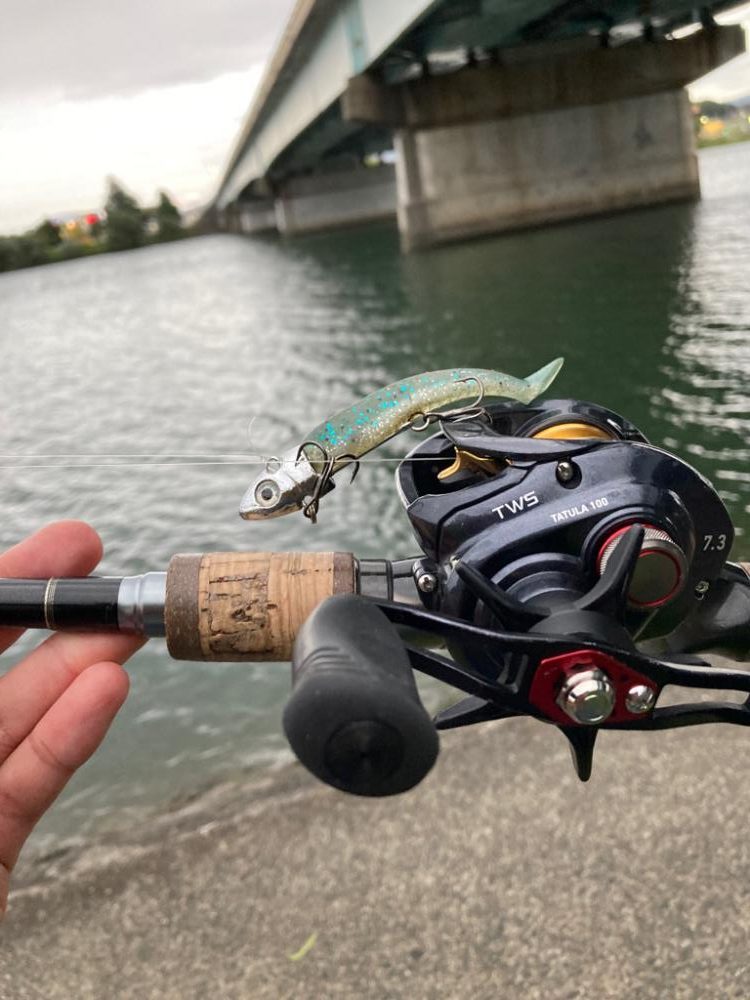 ダイソーVJ炸裂!